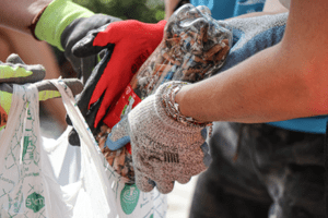 Collecte de déchets à terre et en mer